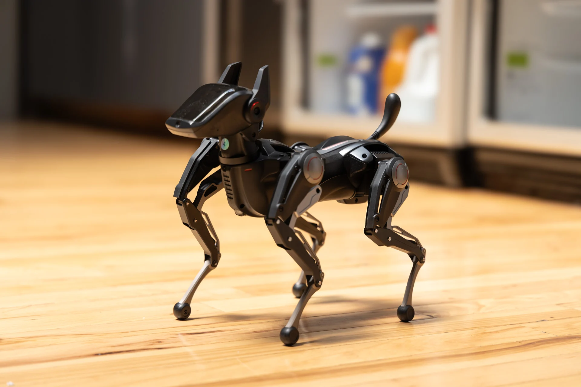 Quadruped robot dog